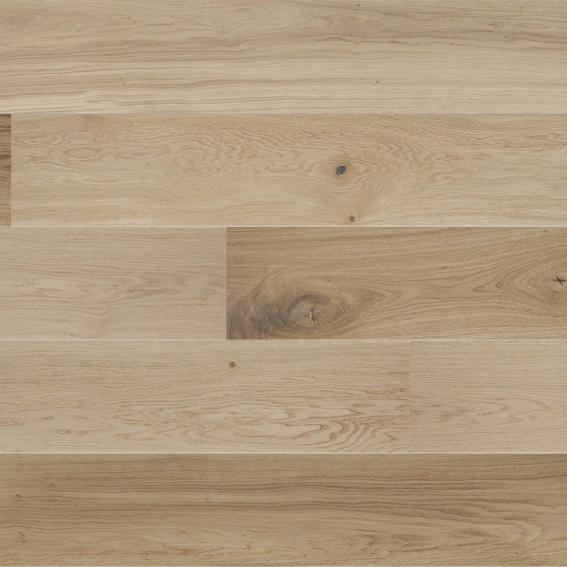 Stejar Harmony photo2